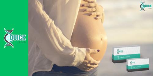 Može li se tijekom trudnoće provesti prenatalni test očinstva?